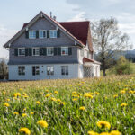 Select Green Hotels Alpenloge im Allgäu inmitten grüner Wiesen