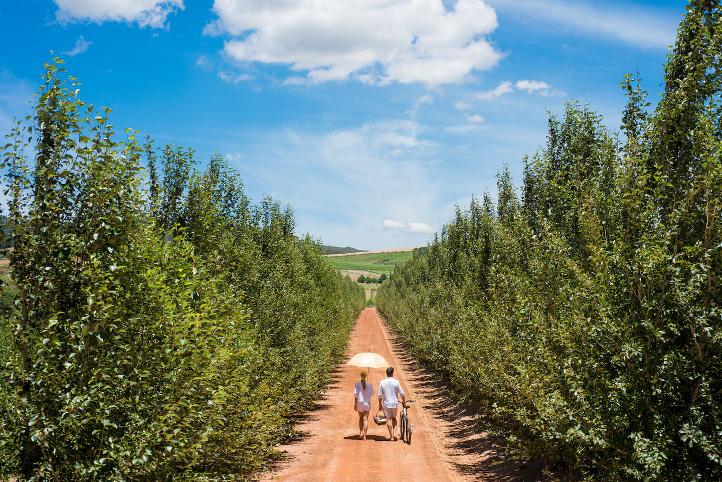 Select Green Hotels Babylonstoren