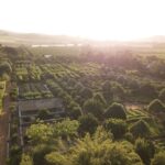 Select Green Hotels Babylonstoren