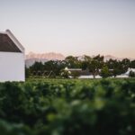 Select Green Hotels Babylonstoren