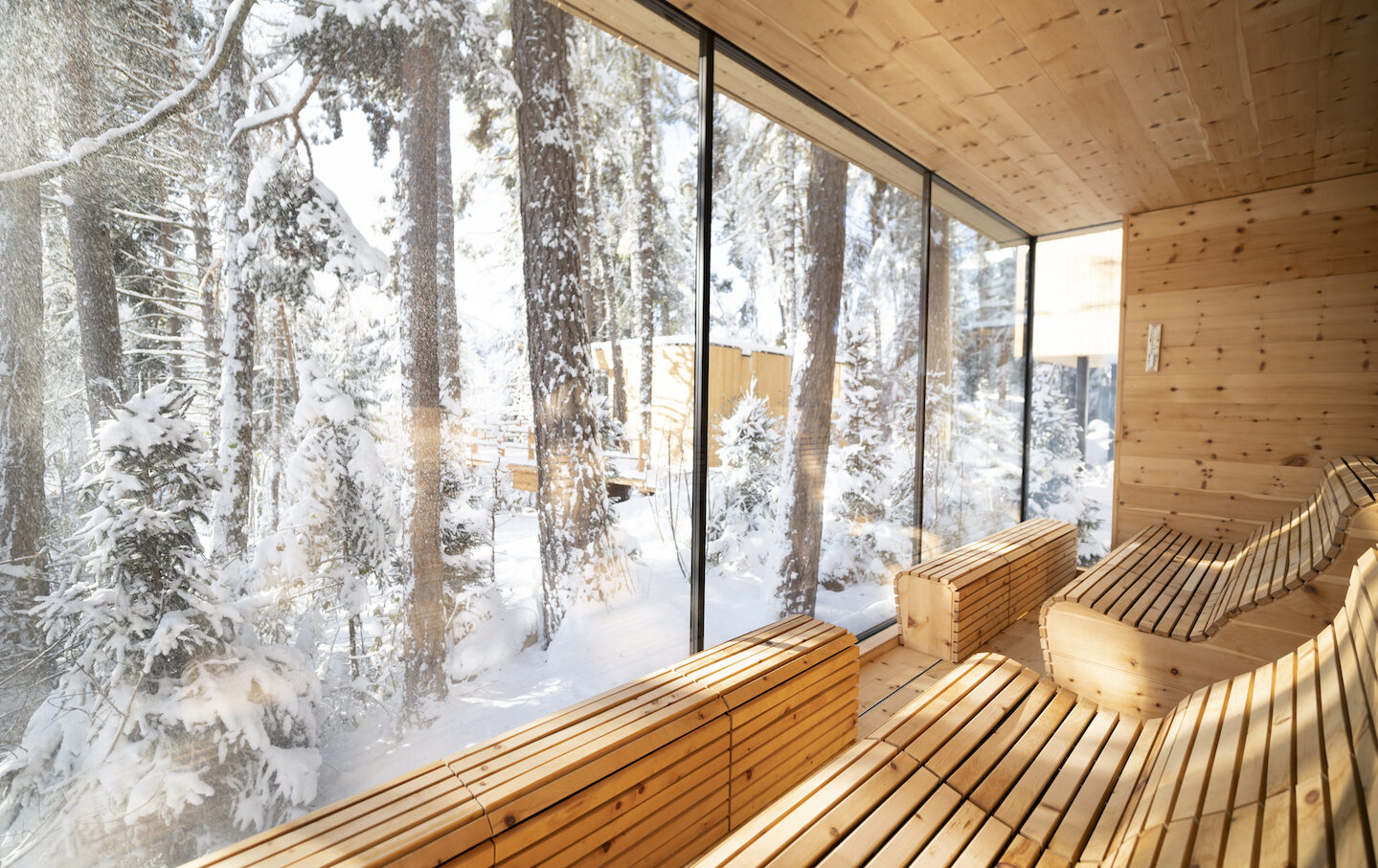 Adler Lodge Ritten Waldsauna im Winter