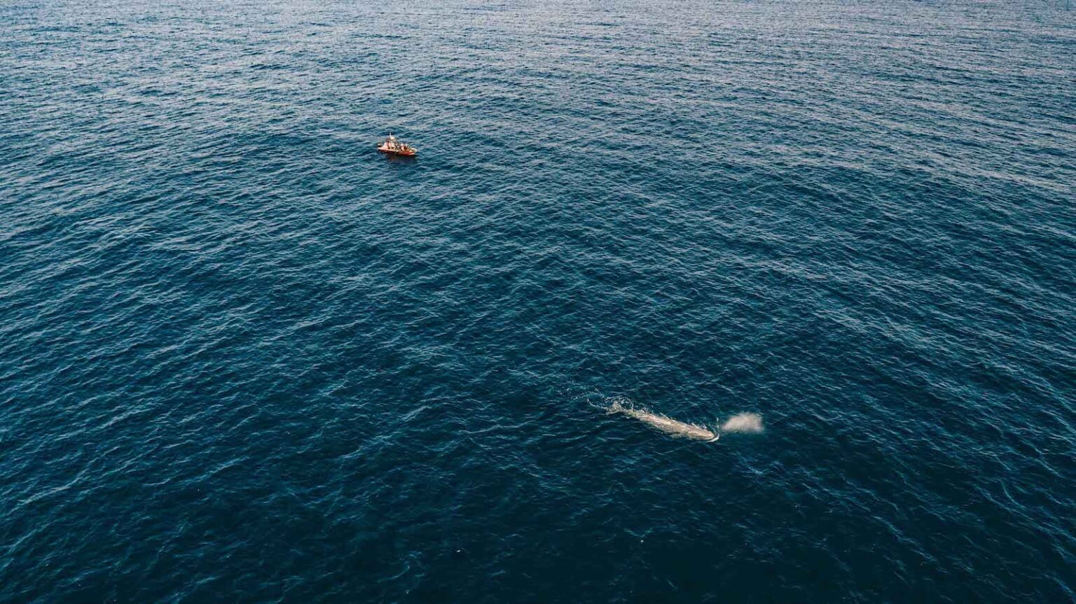 Select Green Hotels Octant Furnas