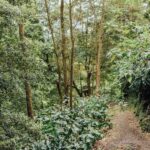 Select Green Hotels Octant Furnas