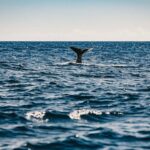 Select Green Hotels Octant Furnas