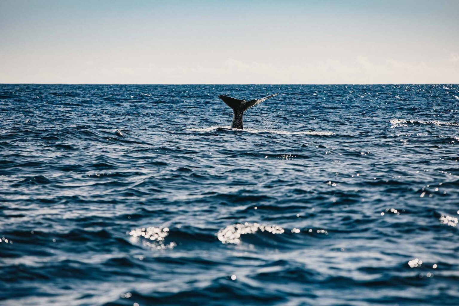 Select Green Hotels Octant Furnas