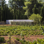 Select Green Hotels Cas Gasi Agroturismo Ibiza