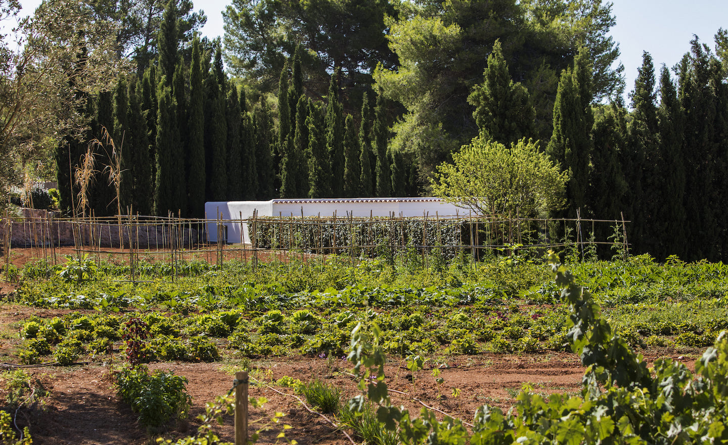 Select Green Hotels Cas Gasi Agroturismo Ibiza