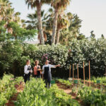 Select Green Hotels Cretan Malia Park