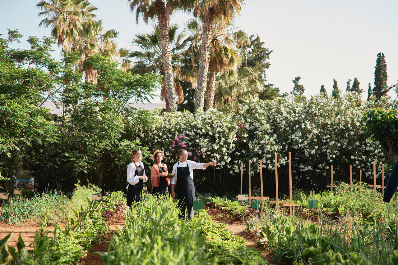 Select Green Hotels Cretan Malia Park