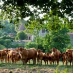 Select Green Hotels Domaine des Etangs