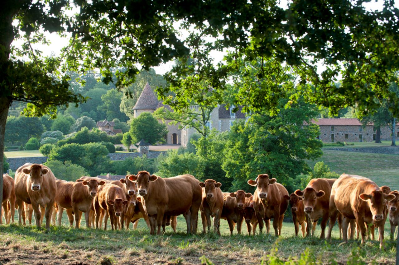 Select Green Hotels Domaine des Etangs