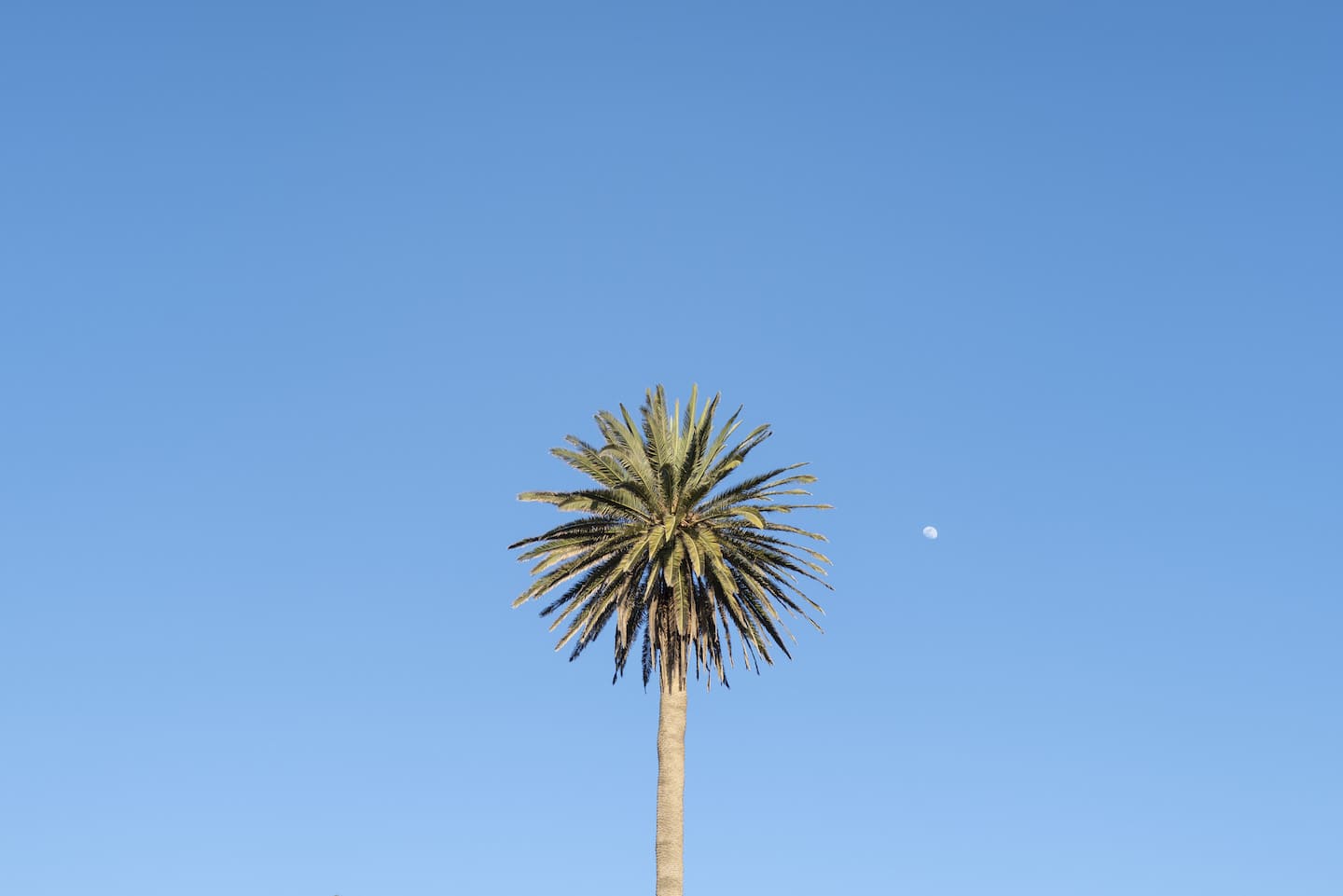 Select Green Hotels Ecohotel El Agua Teneriffa Yoga Vegan