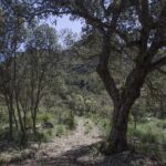 Select Green Hotels Es Raco d'Arta Mallorca