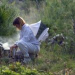 Select Green Hotels Es Raco d'Arta Mallorca