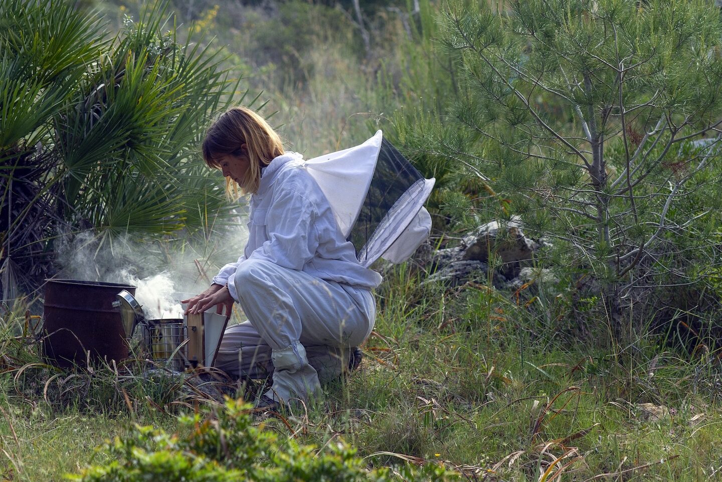 Select Green Hotels Es Raco d'Arta Mallorca