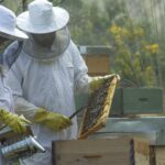 Select Green Hotels Es Raco d'Arta Mallorca