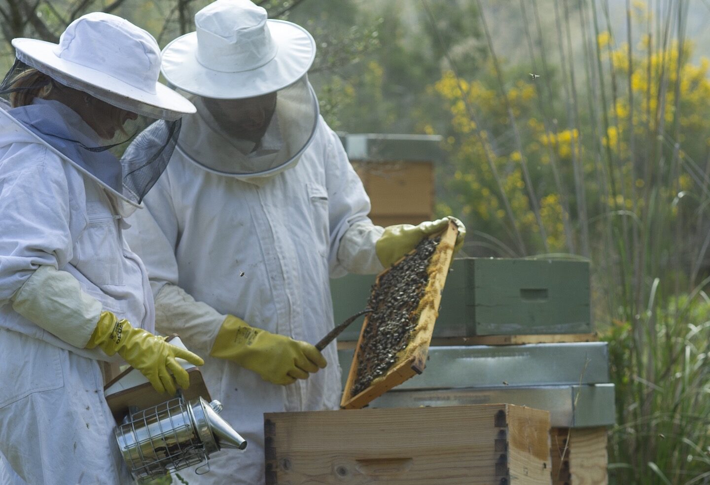 Select Green Hotels Es Raco d'Arta Mallorca