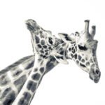 Select Green Hotels Giraffe Manor Nairobi