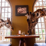 Select Green Hotels Giraffe Manor Nairobi