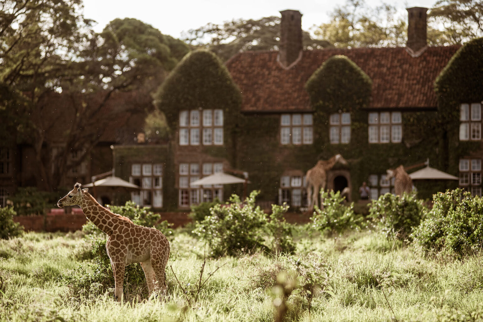 Select Green Hotels Giraffe Manor Nairobi