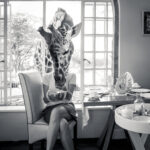 Select Green Hotels Giraffe Manor Nairobi