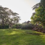 Select Green Hotels Giraffe Manor Nairobi garden