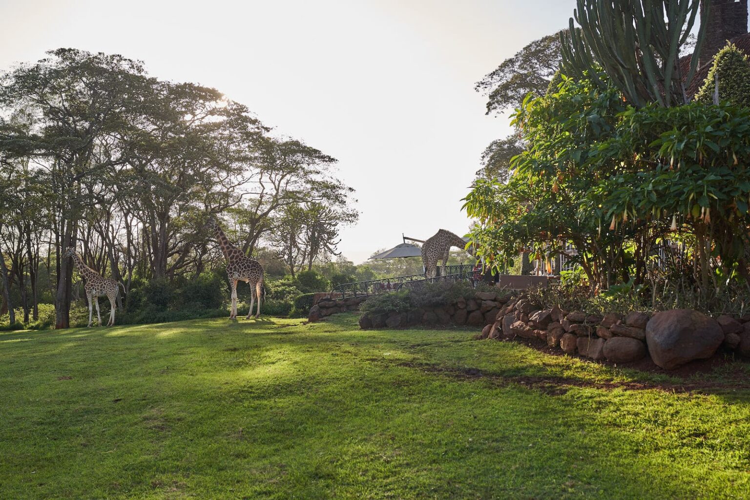 Select Green Hotels Giraffe Manor Nairobi garden