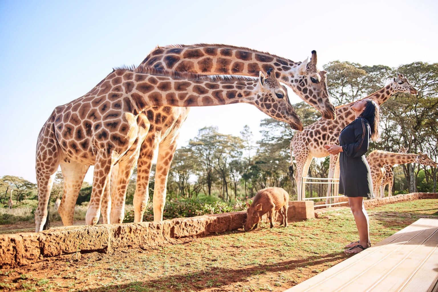 Select Green Hotels Giraffe Manor Nairobi