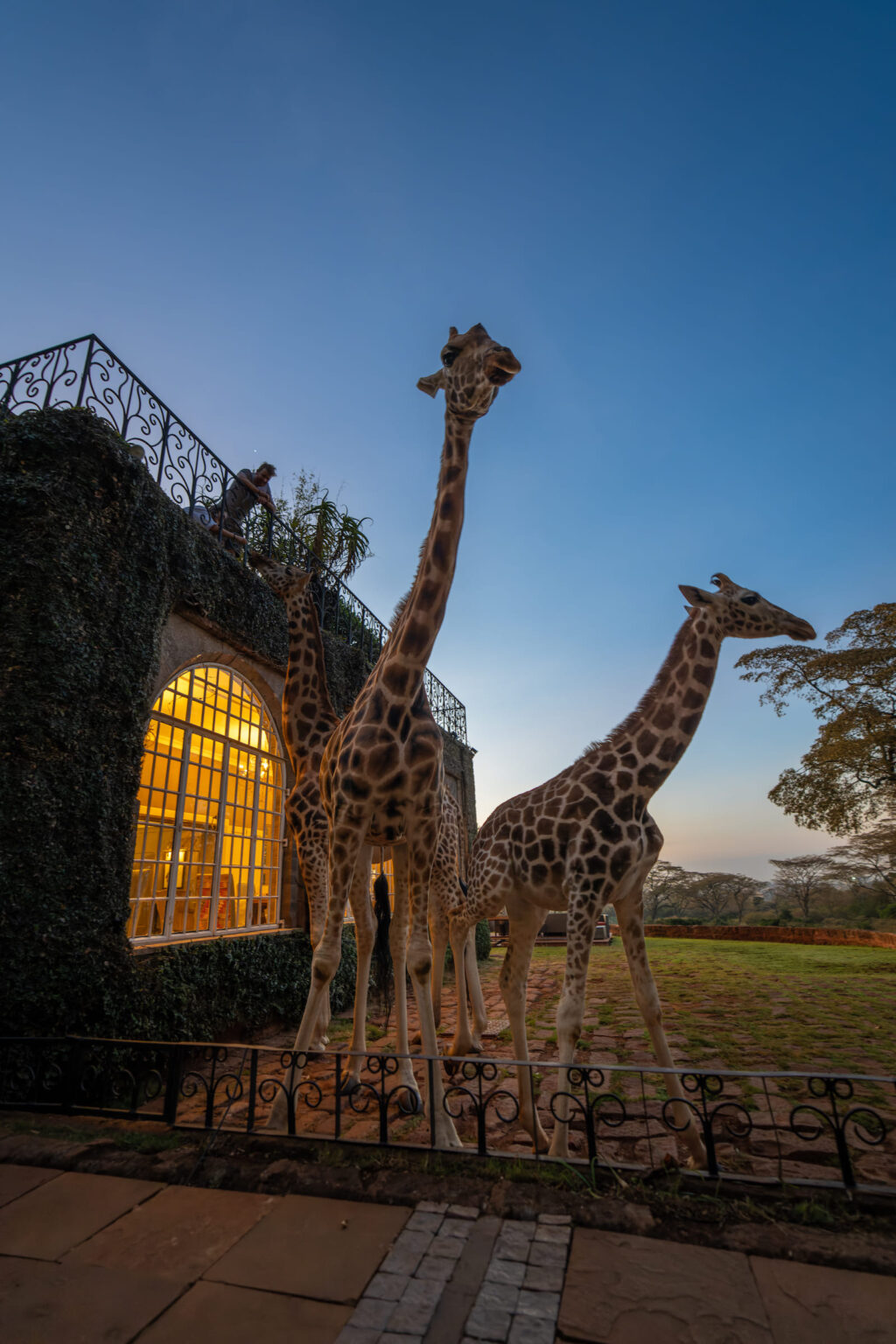 Select Green Hotels Giraffe Manor Nairobi