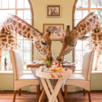 Select Green Hotels Giraffe Manor Nairobi breakfast
