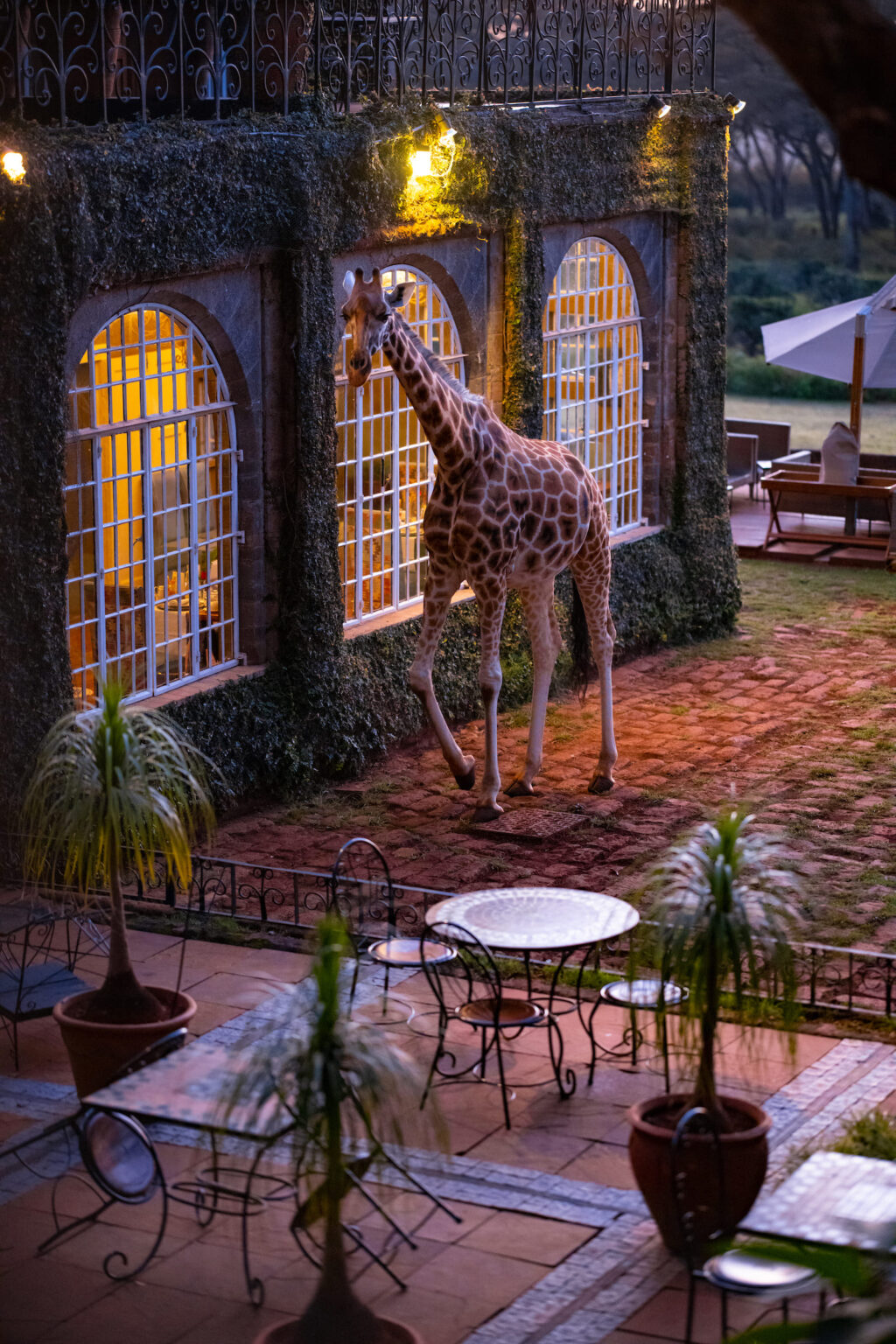 Select Green Hotels Giraffe Manor Nairobi
