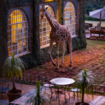 Select Green Hotels Giraffe Manor Nairobi