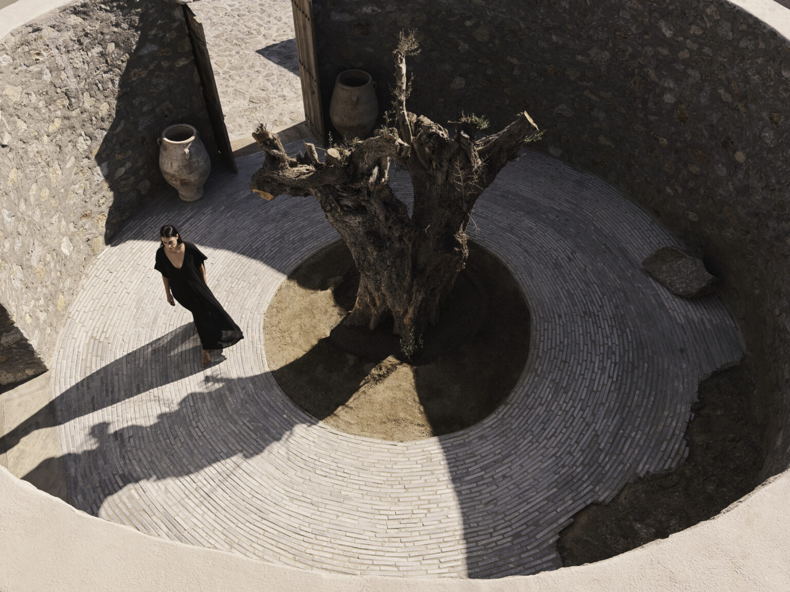 Select Green Hotels Nomad Mykonos Olivenbaum