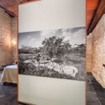 Select Green Hotels Casa Talía rooms suite superior