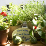 Select Green Hotels Stadthotel Henriette Wien