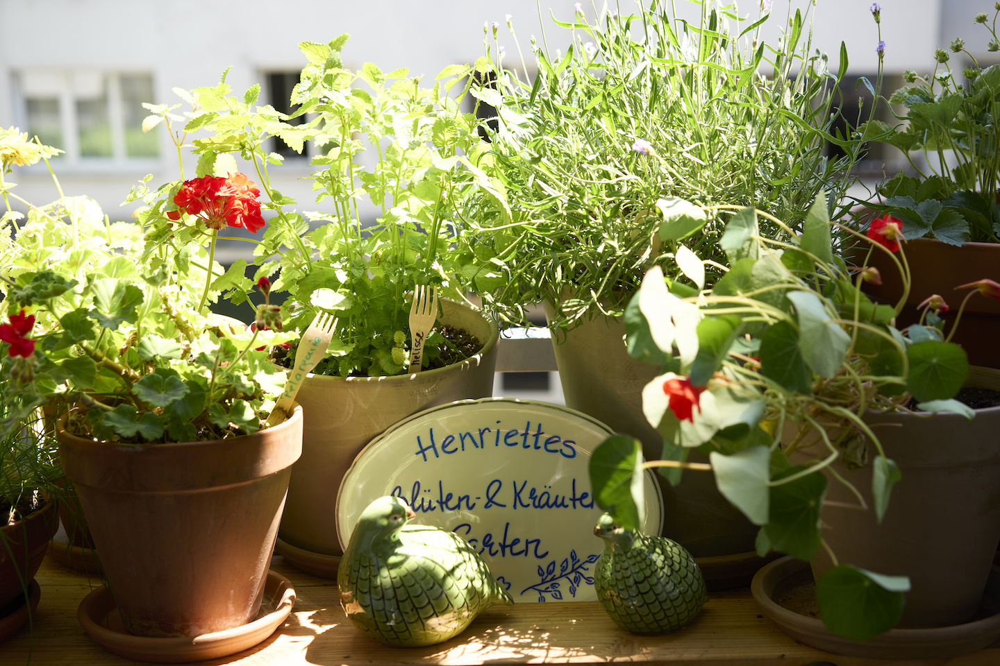 Select Green Hotels Stadthotel Henriette Wien