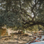 Select Green Hotels La Donaira