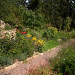 Select Green Hotels Luchs Lindenberg