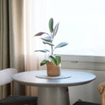 Select Green Hotels MOD vegan hotel santorini