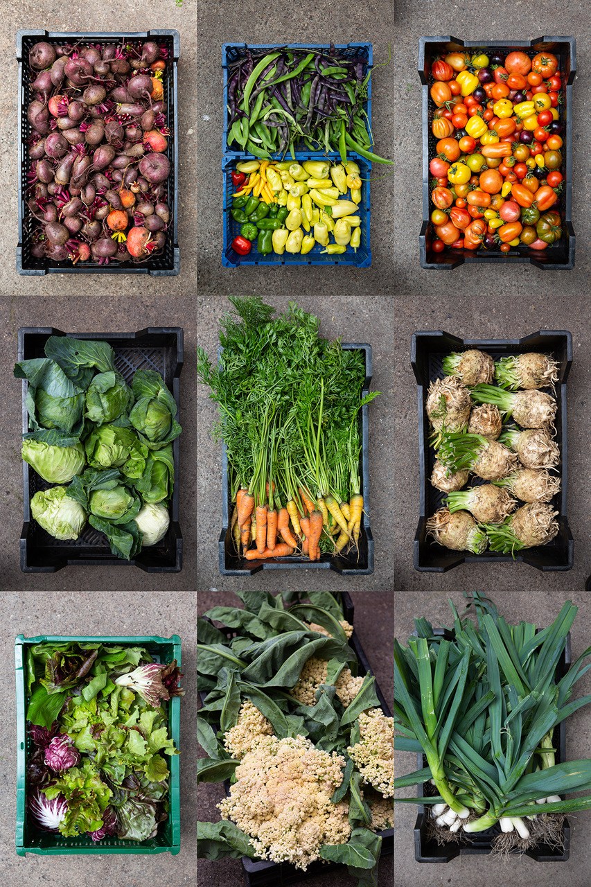 Select Green Hotels Michelberger Hotel Berlin