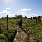 Select Green Hotels Michelberger Hotel Berlin biodynamische farm
