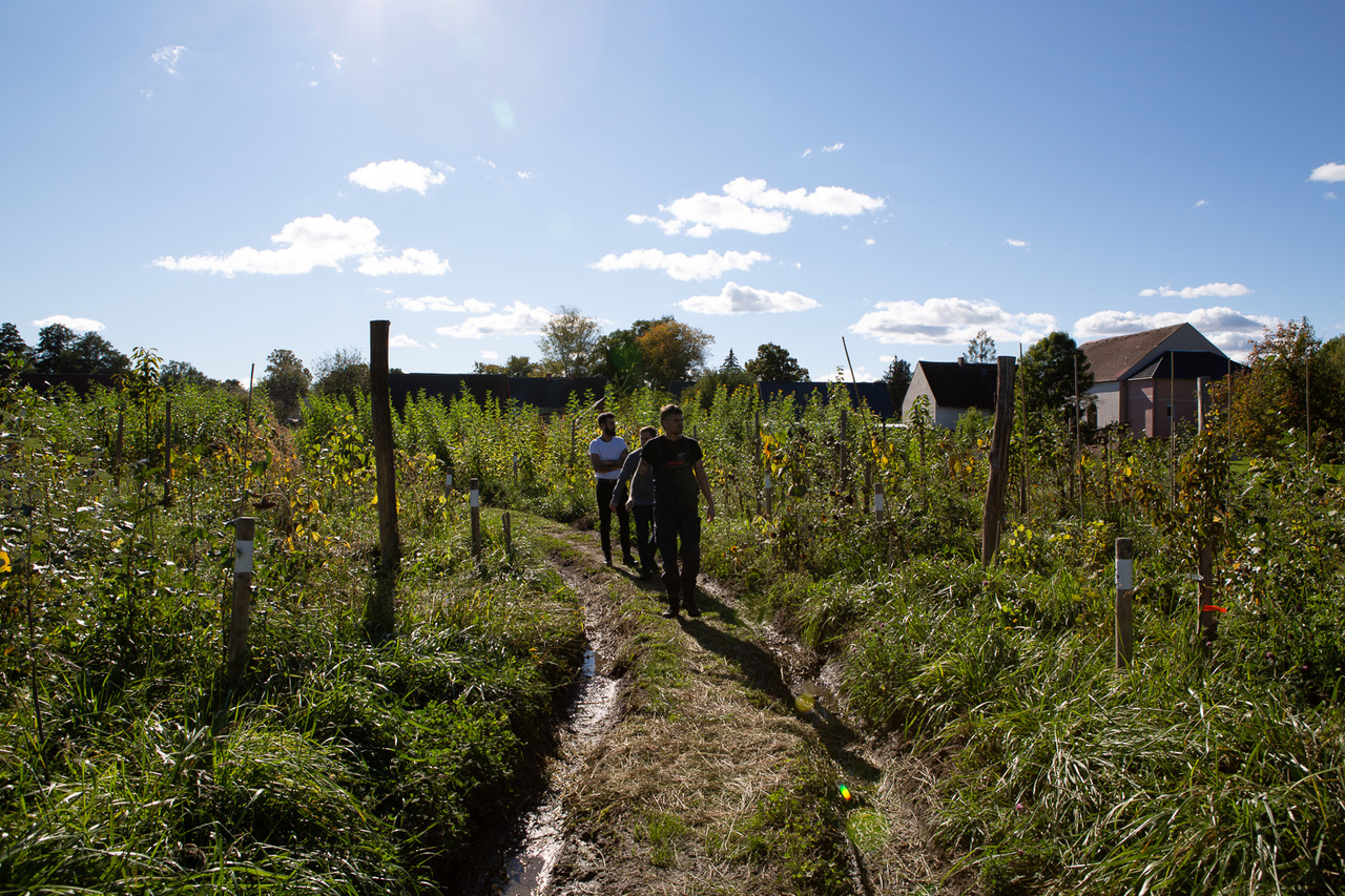 Select Green Hotels Michelberger Hotel Berlin biodynamische farm