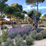 Select Green Hotels Sublime Comporta nature