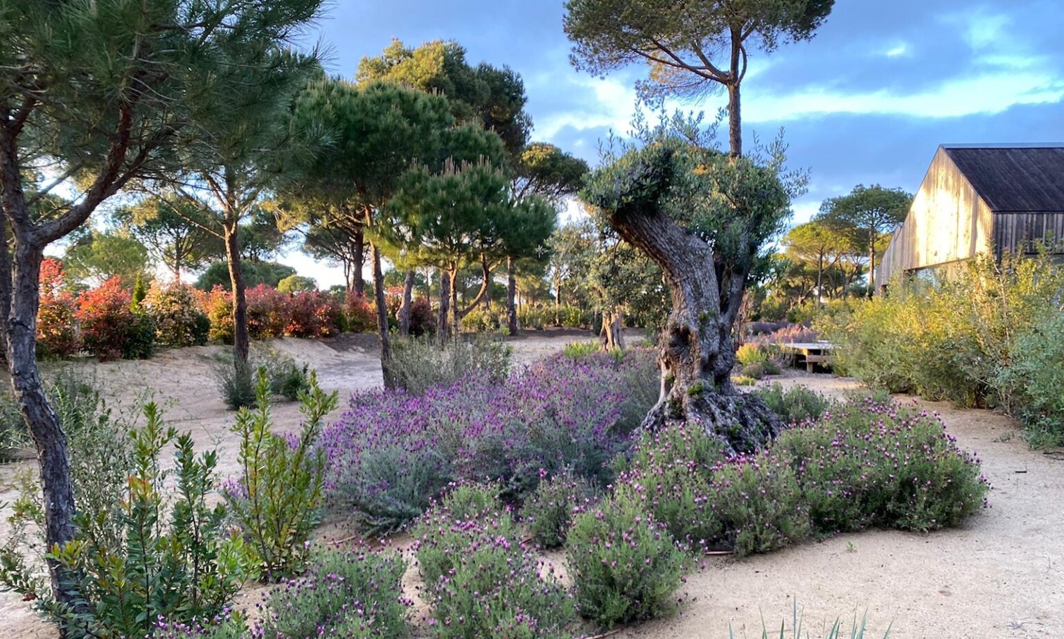 Select Green Hotels Sublime Comporta nature