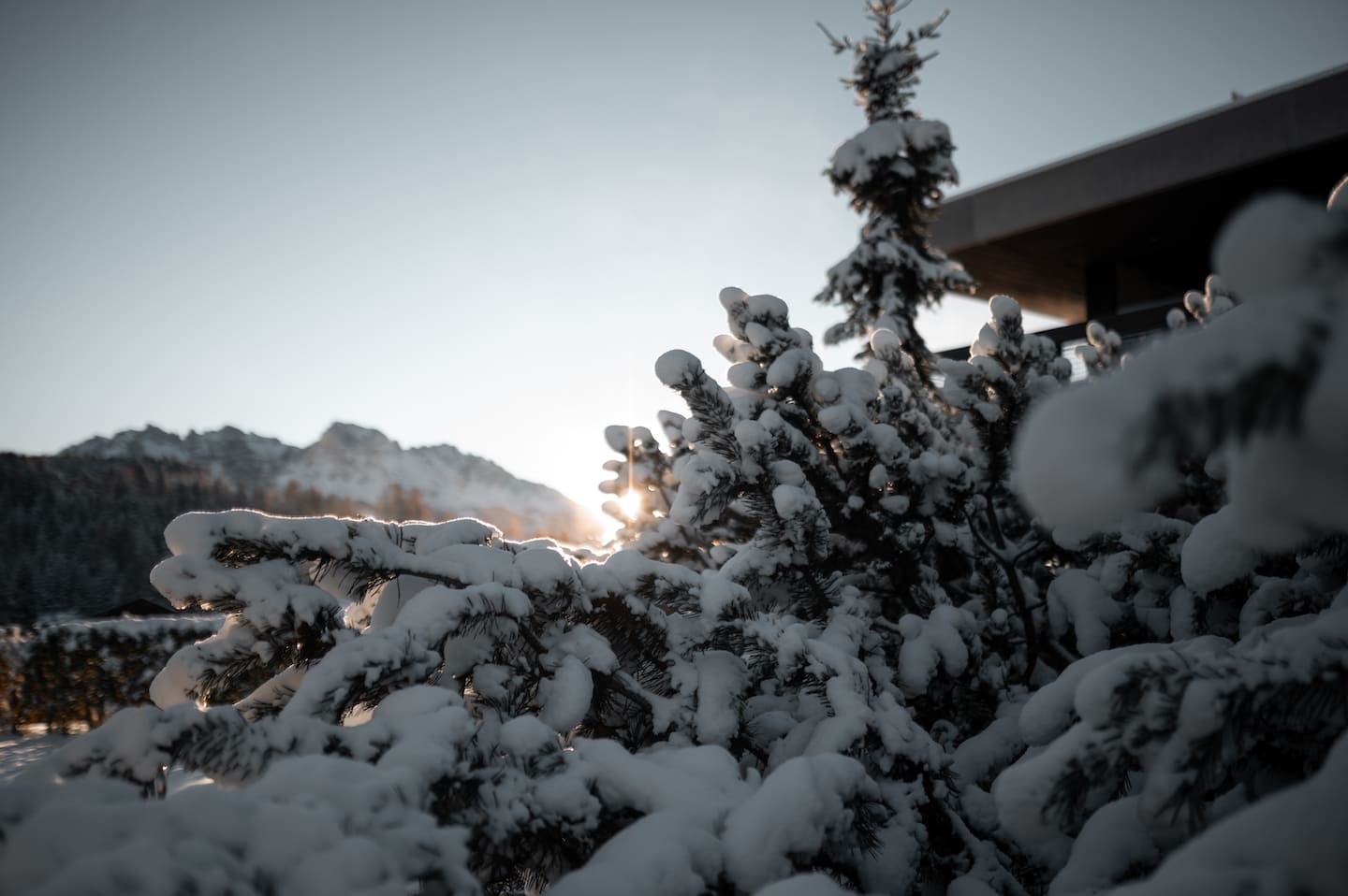 Select Green Hotels Green Luxury Hotel Pfösl Schnee