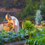 Select Green Hotels Paraiso Escondido