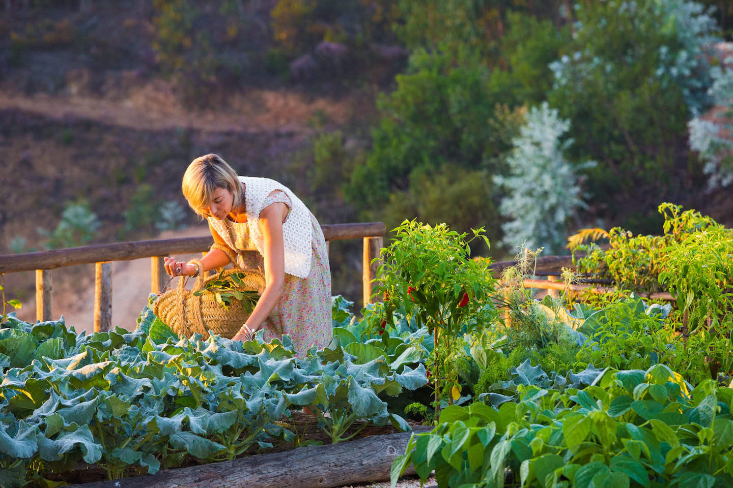 Select Green Hotels Paraiso Escondido