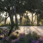 Select Green Hotels Sublime Comporta pine nature