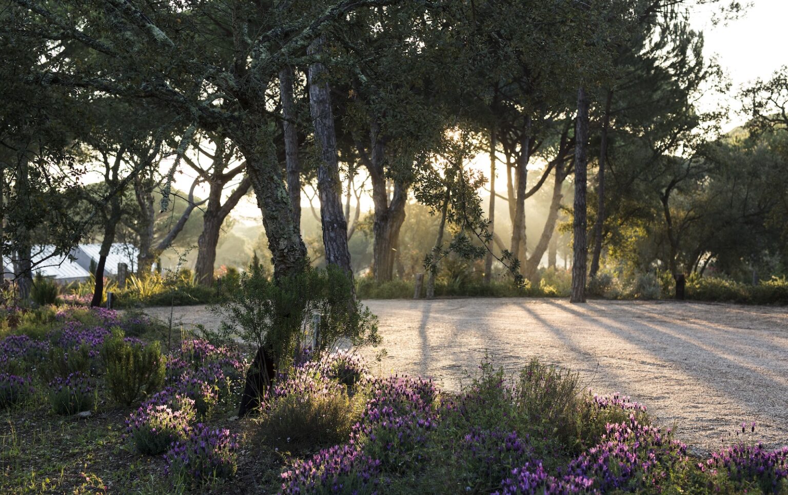 Select Green Hotels Sublime Comporta pine nature