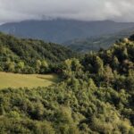 Select Green Hotels Solo Palacio views national park views las ubiñas asturias